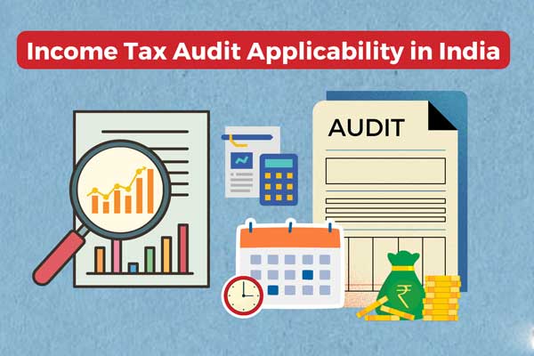 Tax Audit & Assessment Assistance