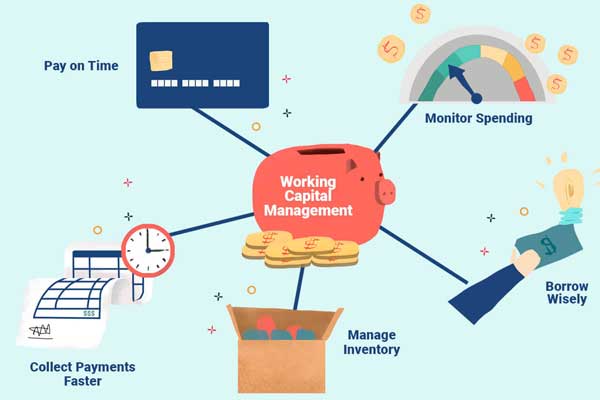 Cash Flow & Working Capital Management