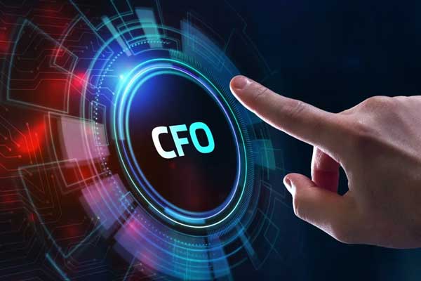 Virtual CFO & Interim CFO Services