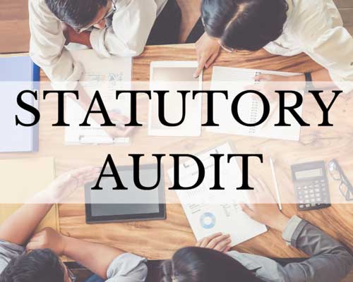 Statutory Audit Services